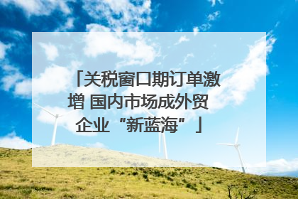 关税窗口期订单激增 国内市场成外贸企业“新蓝海”