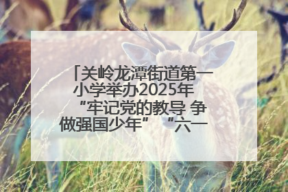 关岭龙潭街道第一小学举办2025年“牢记党的教导 争做强国少年”“六一”文艺汇演活动
