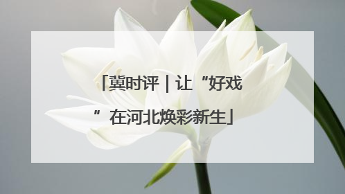 冀时评｜让“好戏”在河北焕彩新生