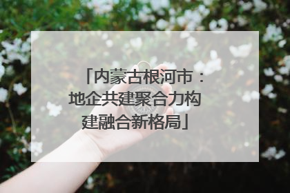 内蒙古根河市：地企共建聚合力构建融合新格局