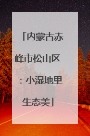 内蒙古赤峰市松山区：小湿地里生态美