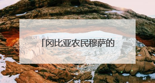 冈比亚农民穆萨的故事，是“中非友好的一段佳话”