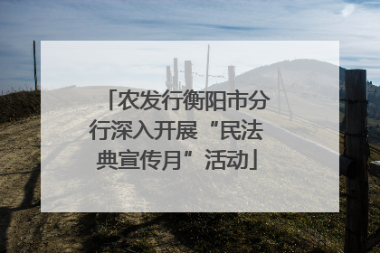 农发行衡阳市分行深入开展“民法典宣传月”活动