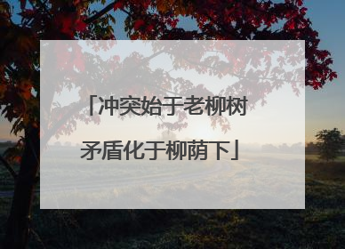 冲突始于老柳树 矛盾化于柳荫下
