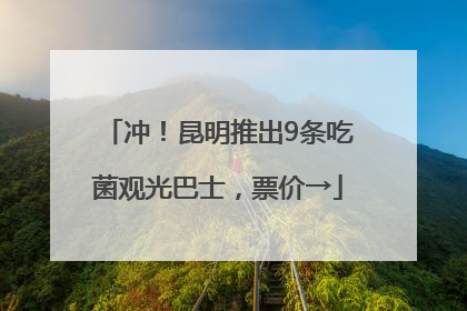 冲！昆明推出9条吃菌观光巴士，票价→