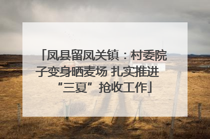 凤县留凤关镇：村委院子变身晒麦场 扎实推进“三夏”抢收工作