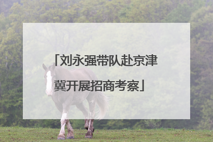 刘永强带队赴京津冀开展招商考察