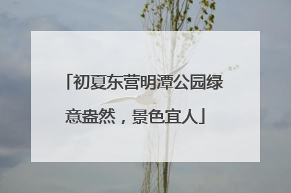 初夏东营明潭公园绿意盎然，景色宜人