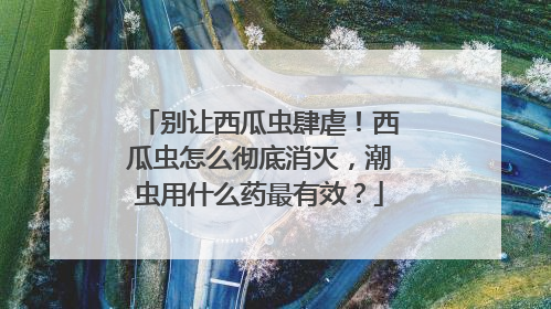 别让西瓜虫肆虐！西瓜虫怎么彻底消灭，潮虫用什么药最有效？