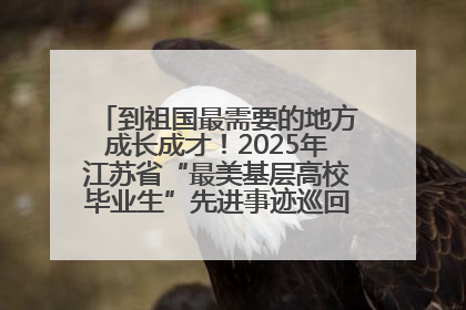 到祖国最需要的地方成长成才！2025年江苏省“最美基层高校毕业生”先进事迹巡回宣讲会在宁启动