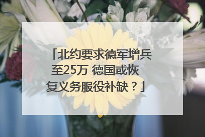 北约要求德军增兵至25万 德国或恢复义务服役补缺？