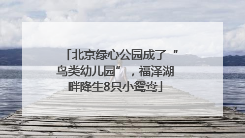 北京绿心公园成了“鸟类幼儿园”，福泽湖畔降生8只小鸳鸯