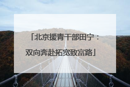 北京援青干部田宁：双向奔赴拓宽致富路