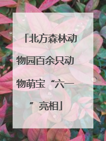 北方森林动物园百余只动物萌宝“六一”亮相