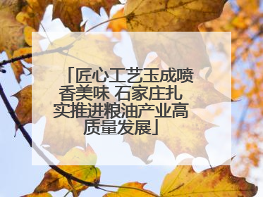 匠心工艺玉成喷香美味 石家庄扎实推进粮油产业高质量发展