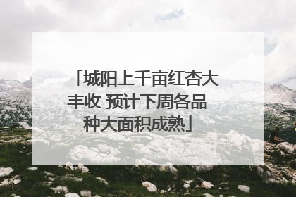 城阳上千亩红杏大丰收 预计下周各品种大面积成熟