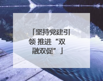 坚持党建引领 推进“双融双促”