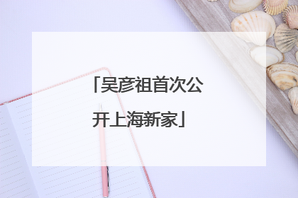 吴彦祖首次公开上海新家