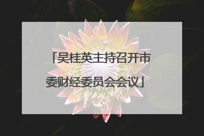 吴桂英主持召开市委财经委员会会议
