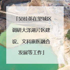 吴桂英在望城区调研大泽湖片区建设、文科旅医融合发展等工作