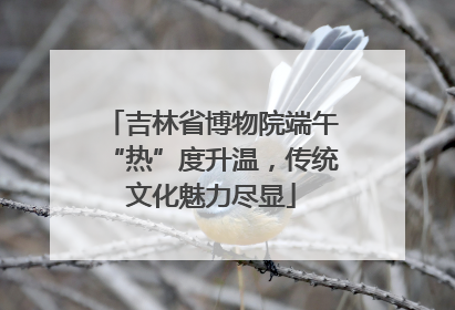 吉林省博物院端午“热”度升温，传统文化魅力尽显