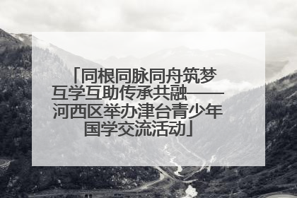同根同脉同舟筑梦 互学互助传承共融——河西区举办津台青少年国学交流活动