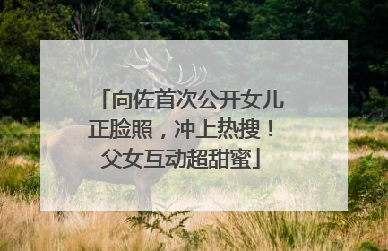 向佐首次公开女儿正脸照，冲上热搜！父女互动超甜蜜