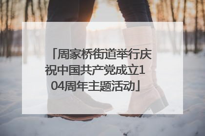周家桥街道举行庆祝中国共产党成立104周年主题活动