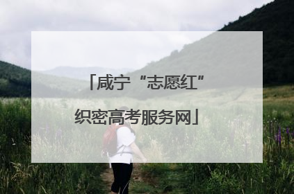 咸宁“志愿红”织密高考服务网