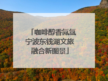 咖啡醇香氤氲宁波东钱湖文旅融合新图景