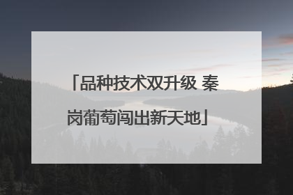 品种技术双升级 秦岗葡萄闯出新天地