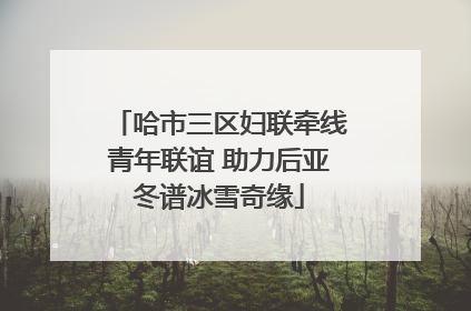 哈市三区妇联牵线青年联谊 助力后亚冬谱冰雪奇缘