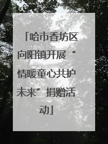 哈市香坊区向阳镇开展“情暖童心共护未来”捐赠活动