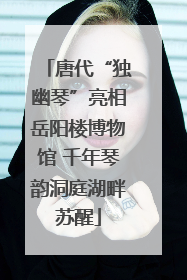 唐代“独幽琴”亮相岳阳楼博物馆 千年琴韵洞庭湖畔苏醒