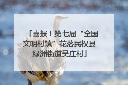 喜报！第七届“全国文明村镇”花落民权县绿洲街道吴庄村