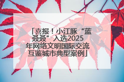 喜报！小江豚“蓝叒叒”入选2025年网络文明国际交流互鉴城市典型案例