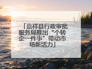 嘉祥县行政审批服务局推出“个转企一件事”带动市场新活力
