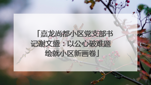 嘉龙尚都小区党支部书记谢文盛：以公心破难题 绘就小区新画卷