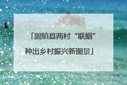 固镇县两村“联姻”种出乡村振兴新图景