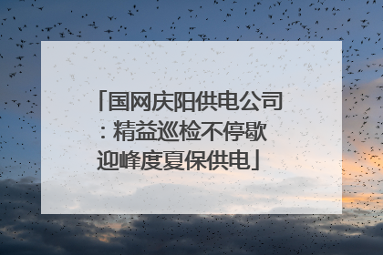 国网庆阳供电公司：精益巡检不停歇 迎峰度夏保供电