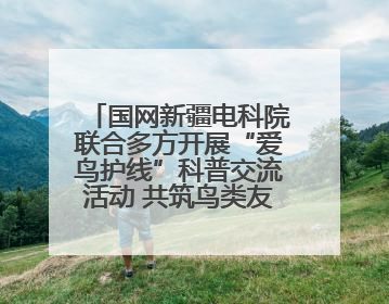 国网新疆电科院联合多方开展“爱鸟护线”科普交流活动 共筑鸟类友好城市