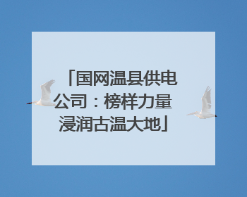 国网温县供电公司：榜样力量浸润古温大地