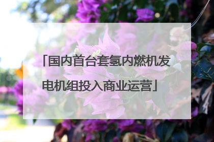 国内首台套氢内燃机发电机组投入商业运营