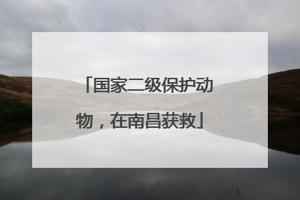 国家二级保护动物，在南昌获救