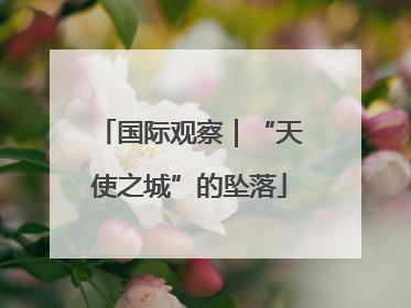 国际观察|“天使之城”的坠落