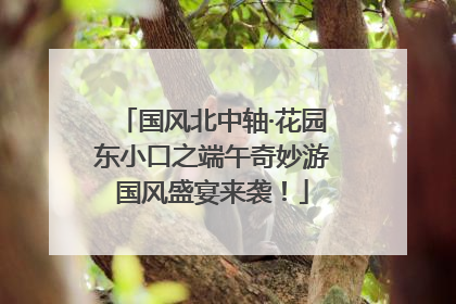 国风北中轴·花园东小口之端午奇妙游国风盛宴来袭！
