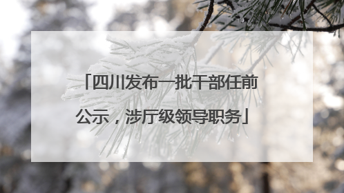 四川发布一批干部任前公示，涉厅级领导职务