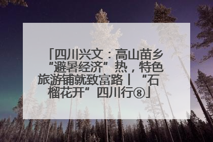 四川兴文：高山苗乡“避暑经济”热，特色旅游铺就致富路丨“石榴花开”四川行⑧