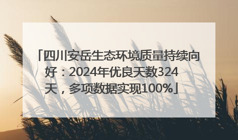 四川安岳生态环境质量持续向好：2024年优良天数324天，多项数据实现100%