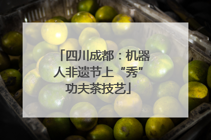 四川成都：机器人非遗节上“秀”功夫茶技艺